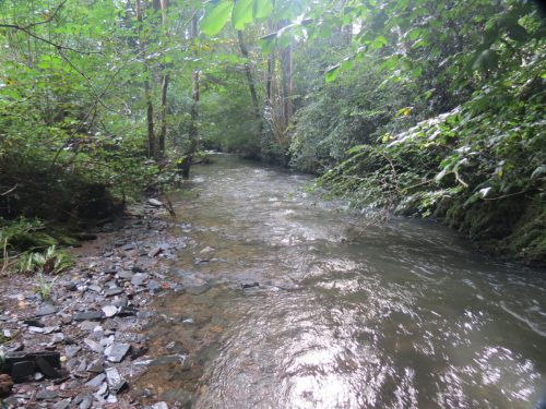 7.-Downstream-from-Tracebridge