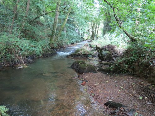 7.-Downstream-from-Waterrow-Bridge
