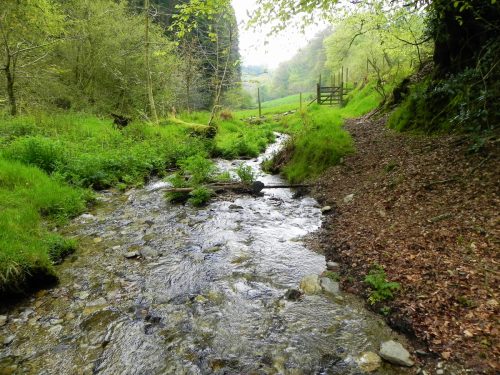 7.-Flowing-through-Chargot-Woods-18
