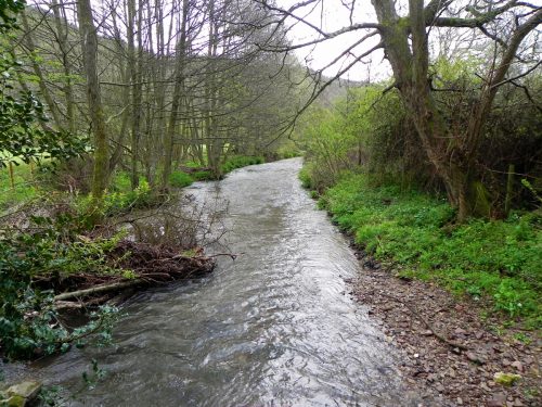 7.-Looking-downstream-from-Avill-Farm-ROW-Bridge-3176-2
