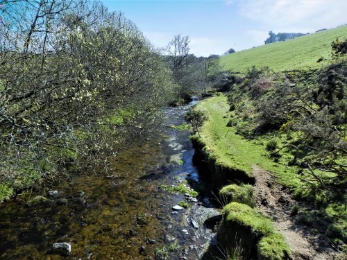 7.-Looking-downstream-from-Cloggs-Farm-ROW-Bridge-No.2167-2