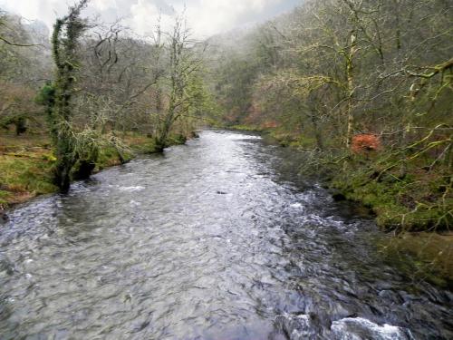 7.-Looking-downstream-from-Thorners-Bridge-2