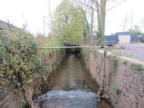 7.-Looking-upstream-from-Back-Stream-Bridge-A