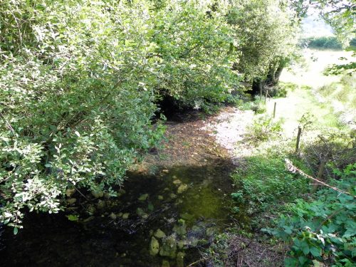 7.-Looking-upstream-from-Gardeners-Bridge-2