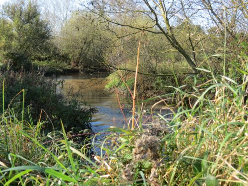7.-Looking-upstream-from-Grand-Western-Canal-viaduct