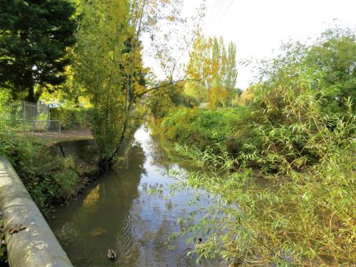 7.-Looking-upstream-from-mill-stream-join-2