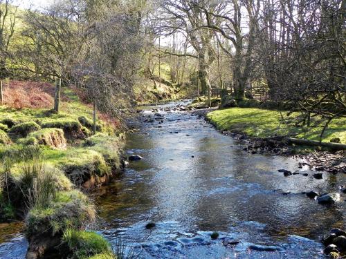 7.-Looking-upstream-to-Roborough-Castle-Ford-2