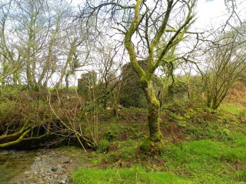 7.-Ruins-downstream-from-A39-Culvert-2