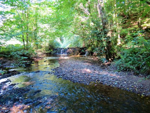7.-Stawley-Mill-weir-2