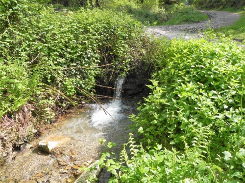 7.-Trib-stream-joins-2