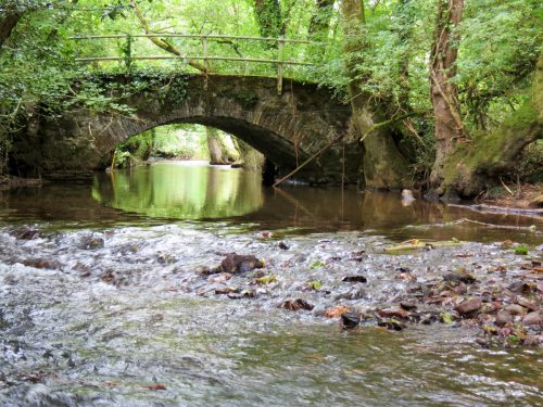 7.-Tucks-Bridge-downstream-arch-2