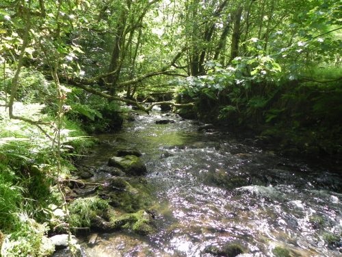 7.-Upstream-from-Barbrook-1