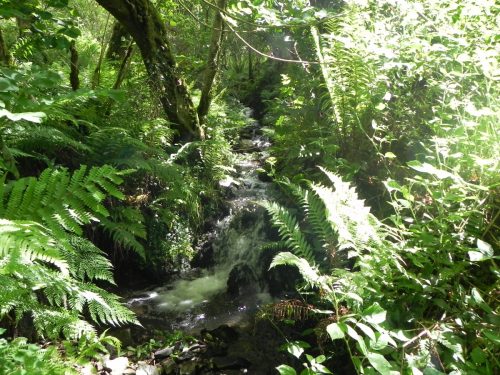 7.-Upstream-from-Barbrook-3