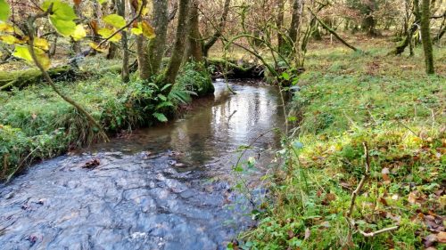 7.-Upstream-from-Beer-Lane-Ford-10
