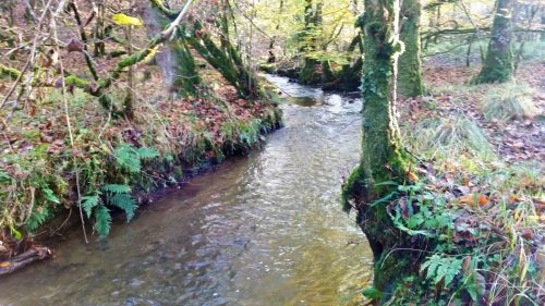 7.-Upstream-from-Beer-Lane-Ford-11