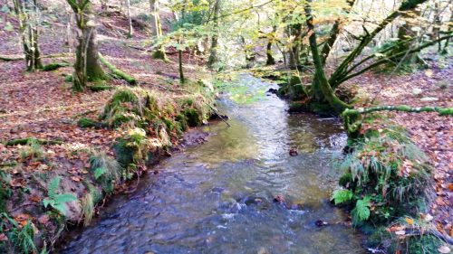 7.-Upstream-from-Beer-Lane-Ford-12