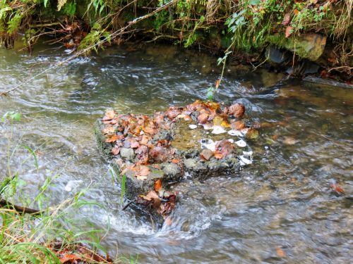 7.-Upstream-from-Beer-Lane-Ford-13