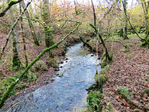 7.-Upstream-from-Beer-Lane-Ford-14