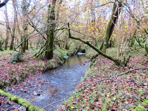 7.-Upstream-from-Beer-Lane-Ford-16