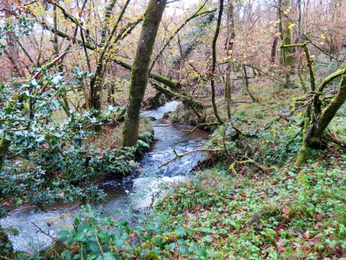 7.-Upstream-from-Beer-Lane-Ford-17