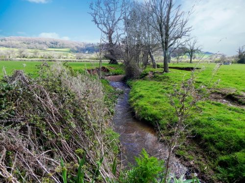 7.-Upstream-from-Blackford-Road-Bridge-2