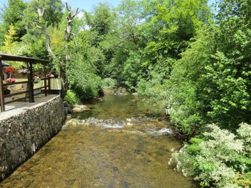 7.-Upstream-from-Court-Cottage-Bridge-2