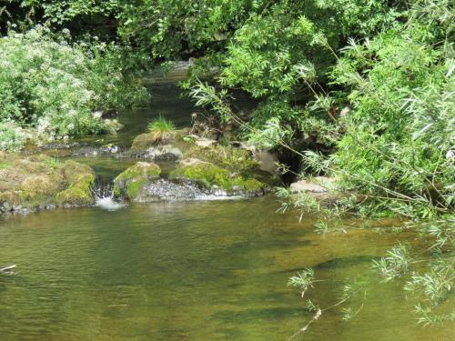 7.-Upstream-from-Court-Cottage-Bridge-3