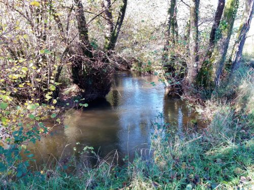 7.-Upstream-from-Harriford-Bridge-3