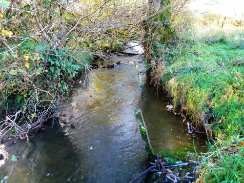 7.-Upstream-from-Harriford-Bridge-4