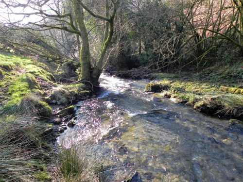 7.-Upstream-from-ROW-Bridge-2119-2