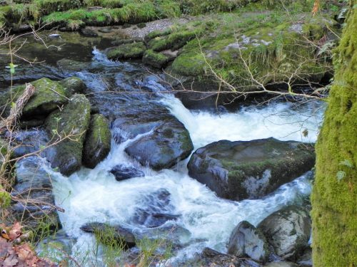 7.-Upstream-from-Rockford-2