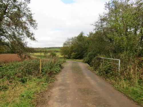 7.-Wellisford-Manor-Farm-Accommodation-bridge-2