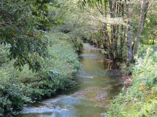7.Downstream-from-Washbattle-Bridge