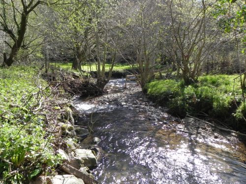 7.Trentishoe-Water-joins-River-Heddon