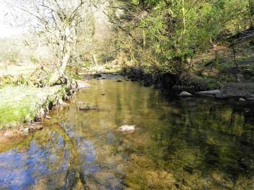 70.-Flowing-past-Anstey-Rhiney-Moor-2