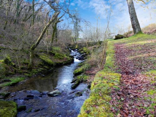 70.-Flowing-through-Combepark-2