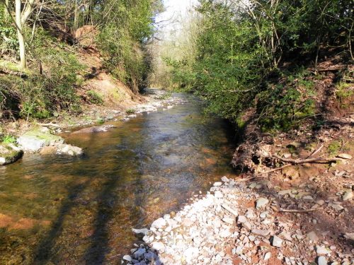 70.-Flowing-to-Bossington-2