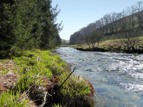 70.-Looking-downstream-from-Ford-below-White-Water-Join-2