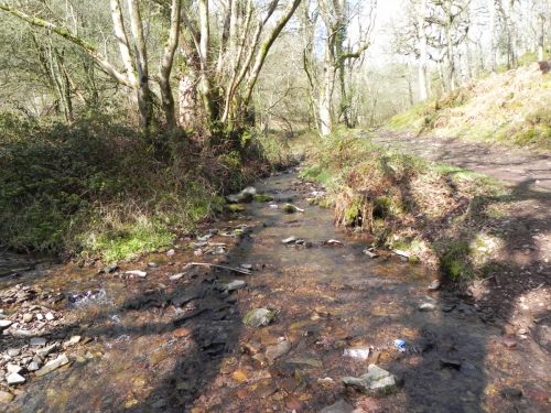 70.-Looking-upstream-from-Ford-below-Berry-Castle-Combe