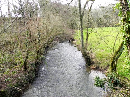 70.-Looking-upstream-from-Tuckingmill-A396-Road-Bridge-2