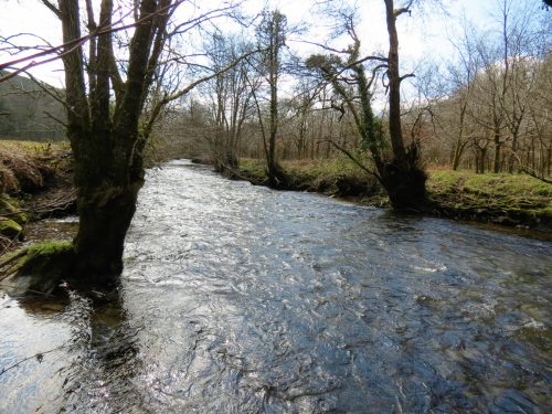 70.-Upstream-from-Hele-Bridge-11