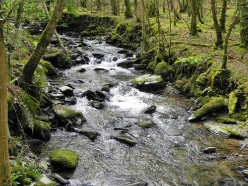 70.-Upstream-from-Mill-Farm-2