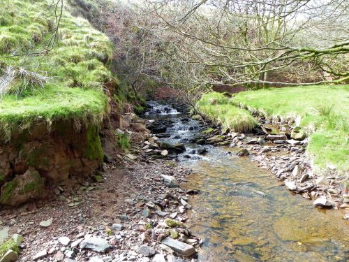 70.-Upstream-from-Willingford-Farm-2