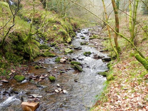 70.-Waters-join-from-Hollow-Combe-2