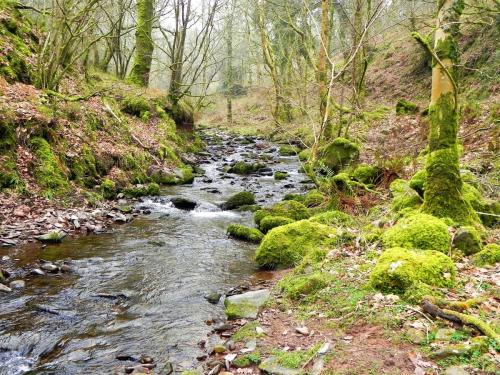71.-Downstream-from-Hollow-Combe-2