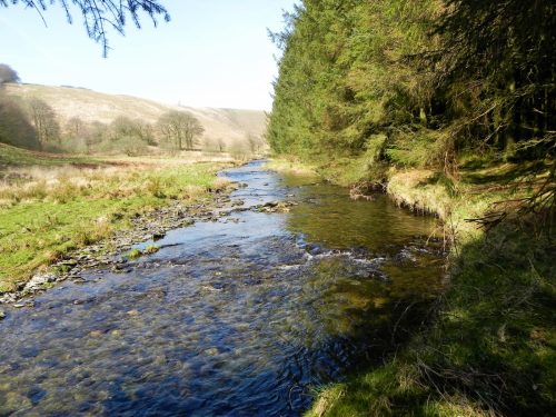 71.-Downstream-from-White-Water-Join-2