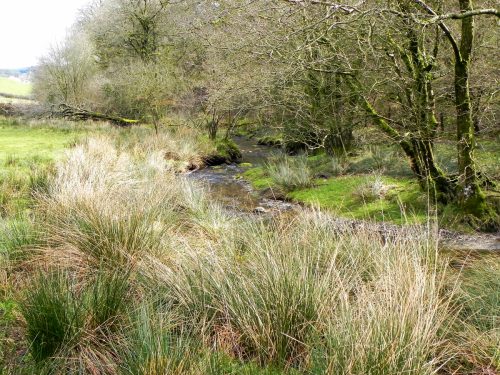 71.-Downstream-from-Withycombe-2