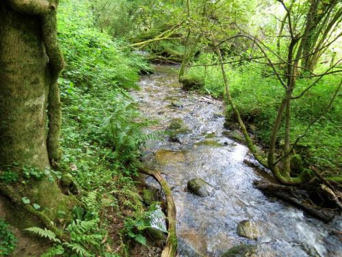 71.-Flowing-below-Stolford-Wood-2