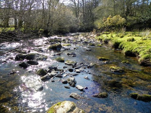 71.-Flowing-past-Anstey-Rhiney-Moor-2