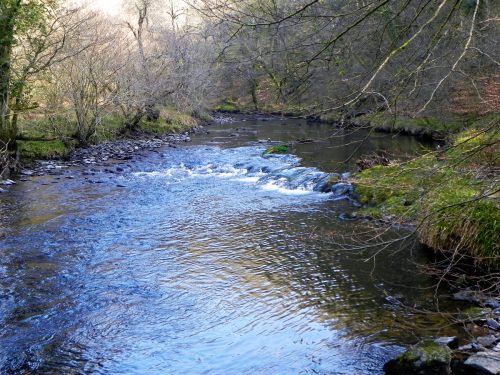 71.-Flowing-past-Dibble-Wood-2
